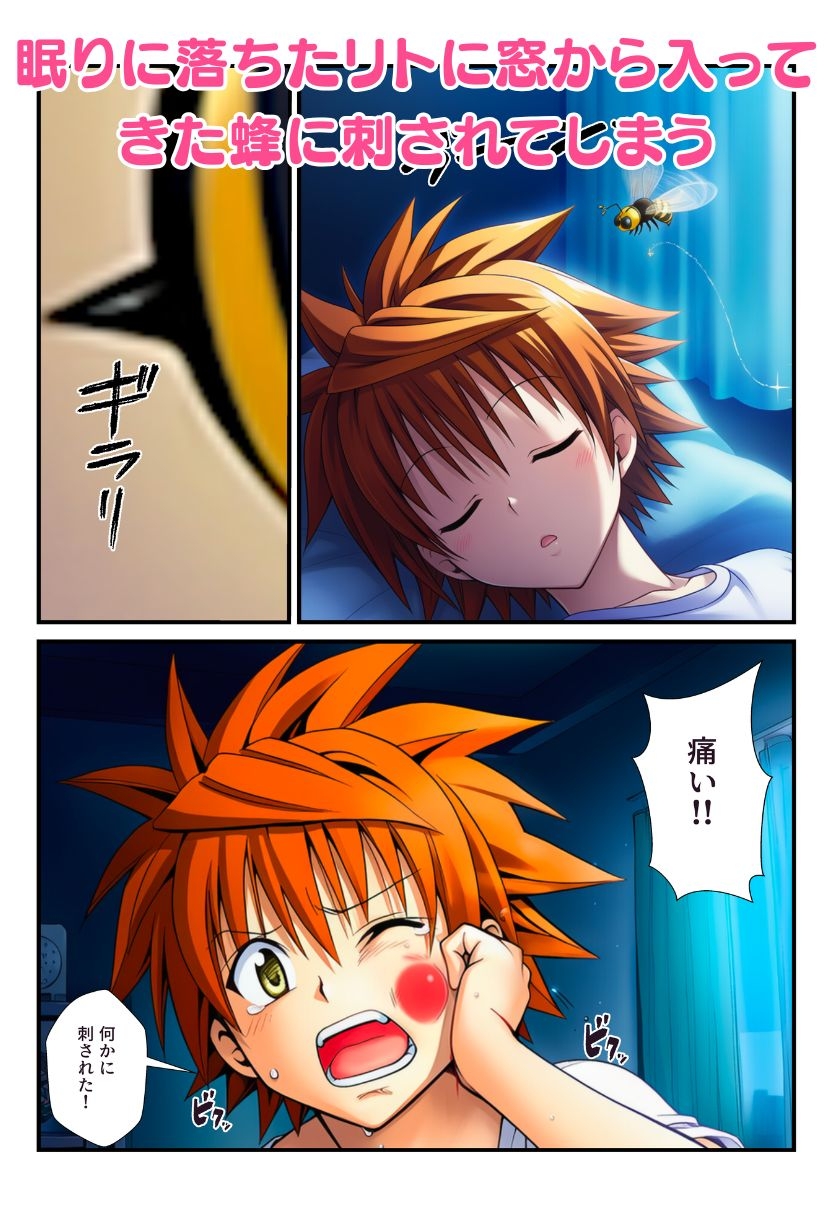サンプル画像