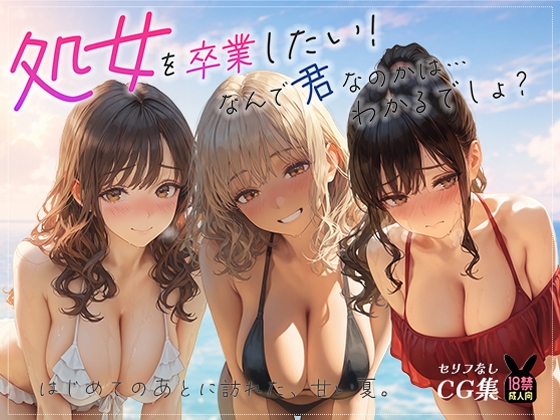 処女を卒業したい！―なんで君なのかは…わかるでしょ?― in Summer ～はじめてのあとに訪れた、甘い夏。