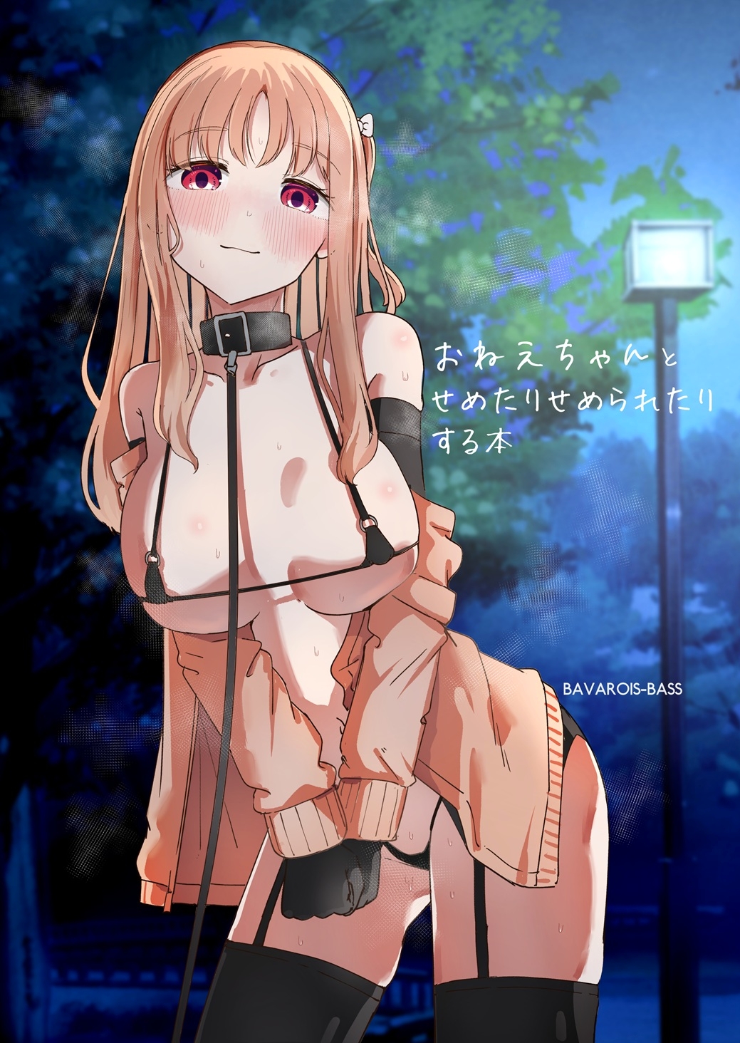 おねえちゃんと せめたりせめられたりする本 画像1