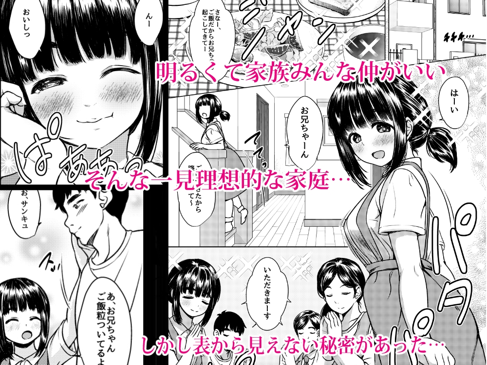 兄妹が終わる時 ～可愛く成長した妹に壊れた兄が手を出すまで～ 画像1