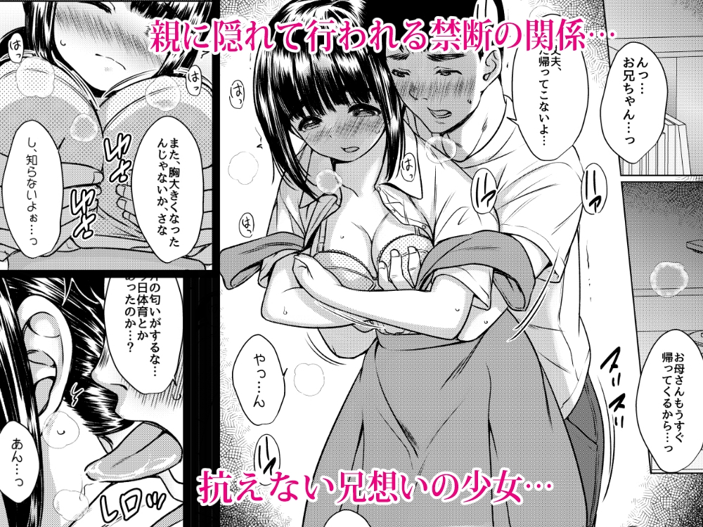 兄妹が終わる時 ～可愛く成長した妹に壊れた兄が手を出すまで～ 画像2
