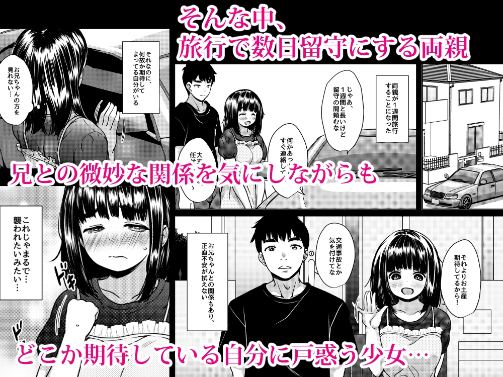 兄妹が終わる時 ～可愛く成長した妹に壊れた兄が手を出すまで～ 画像4