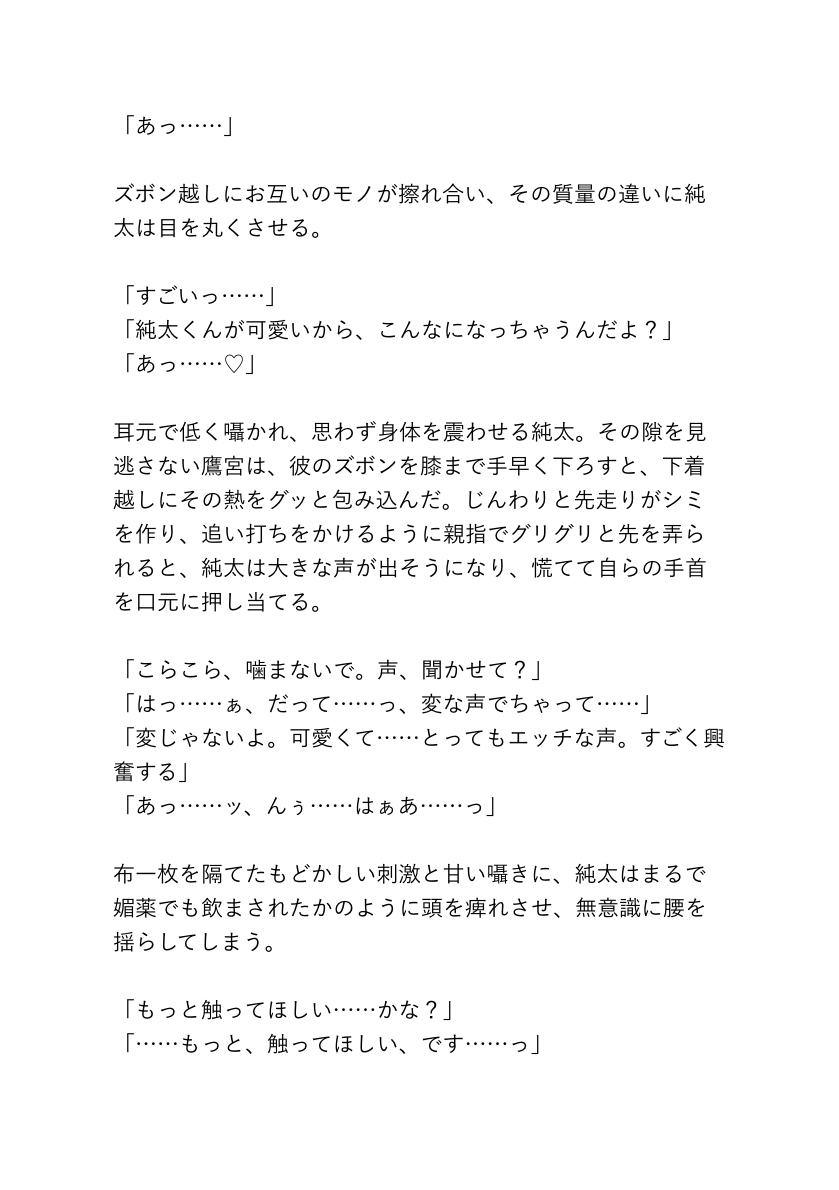 あの夜の出来事〜ワンコ系男子シリーズ〜 [teri] | DLsiteがるまに 4