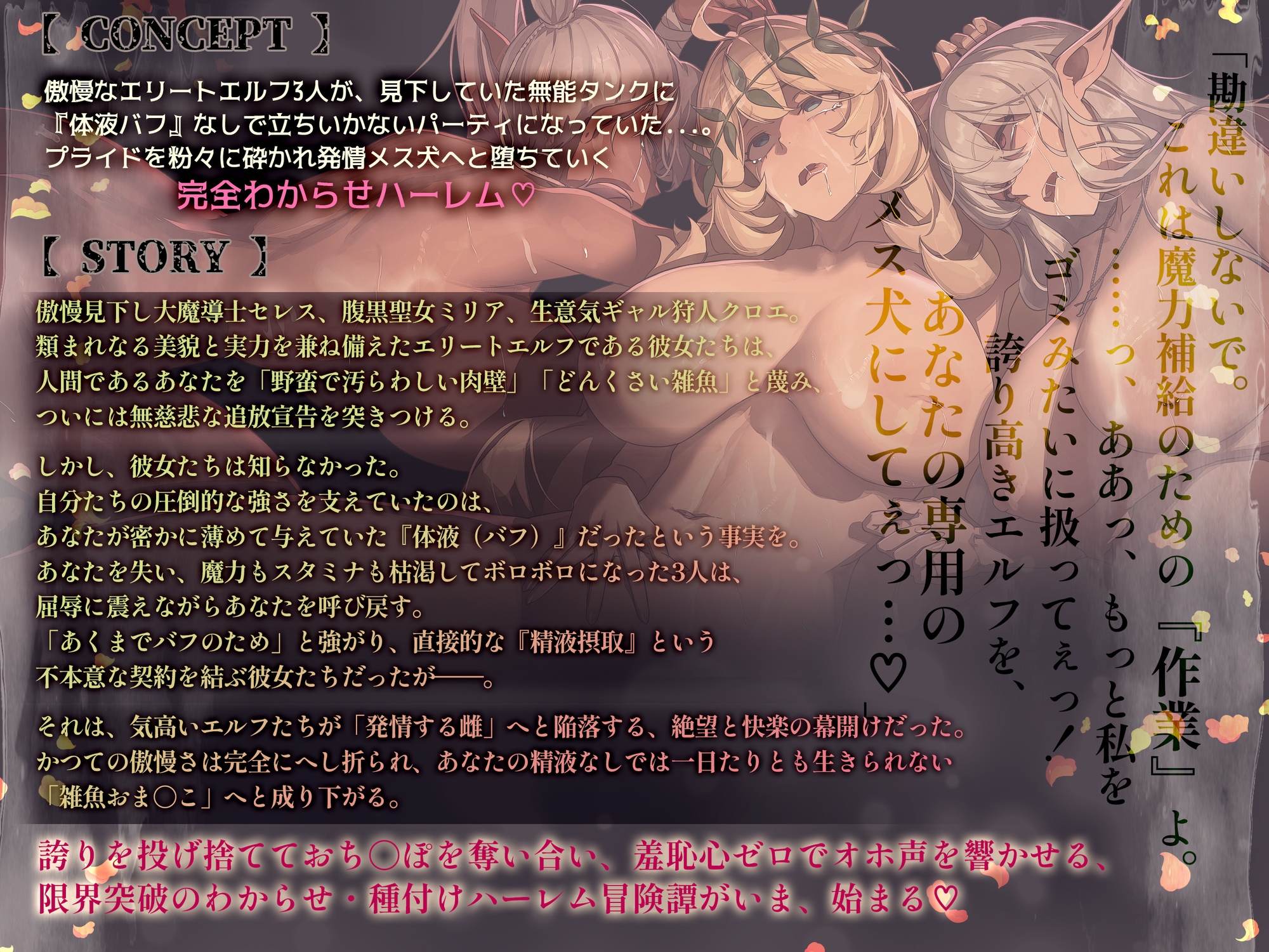サンプル画像 1枚目