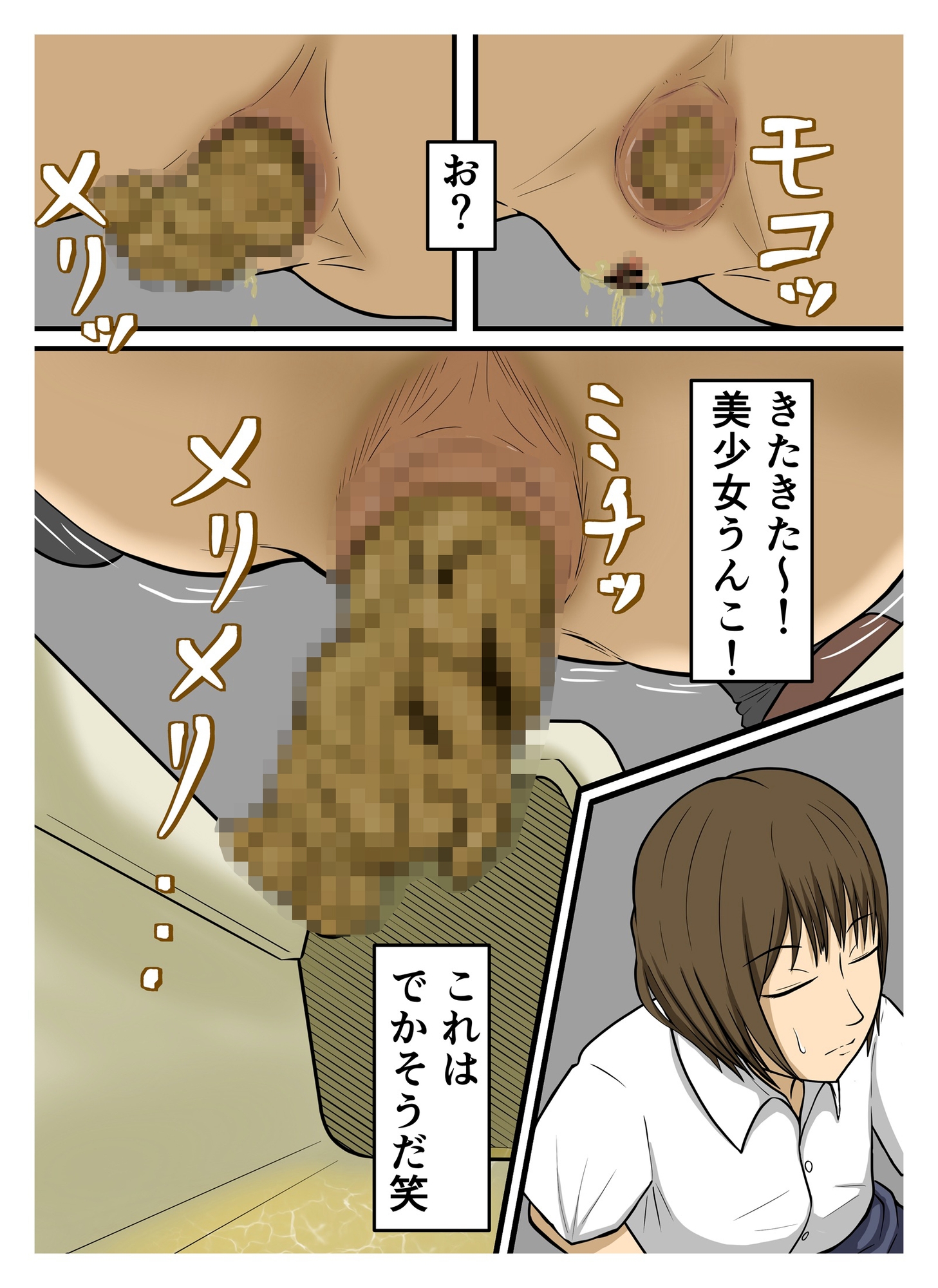 トイレの水止めて排泄物回収 画像2
