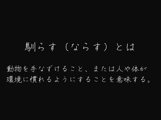 わたしを馴らすひと【途中記録】