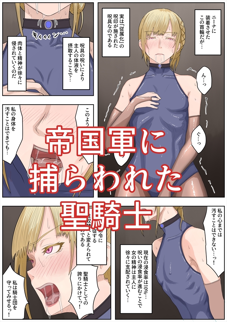 帝国家畜化調教4 聖騎士ニーナ 画像1