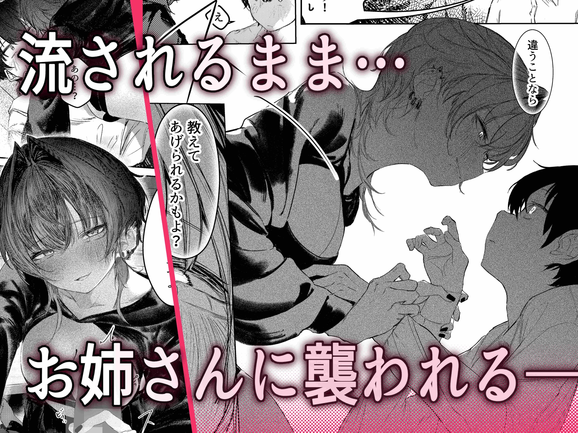 家出したらお姉さんに拾われる話
