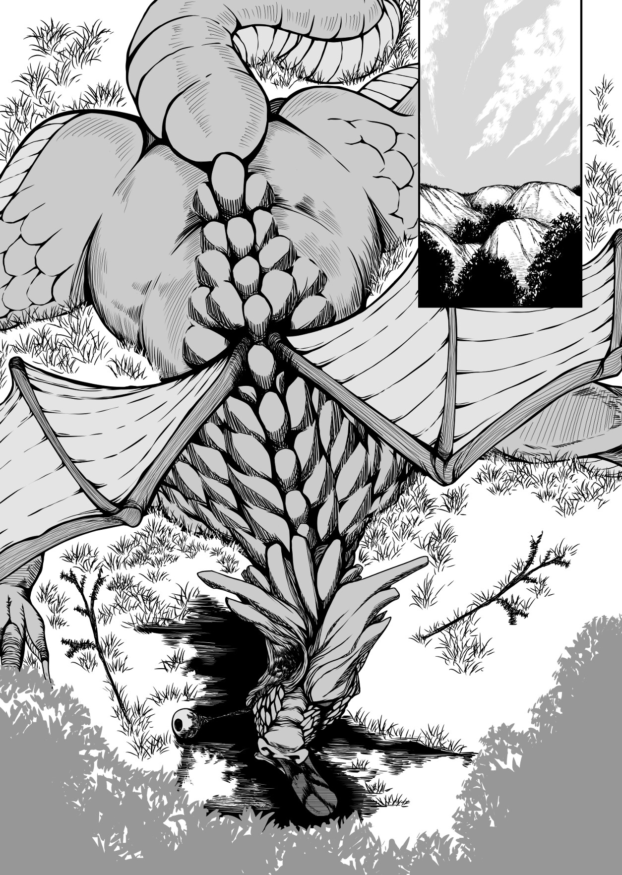 クリュエのキャンプ 画像1