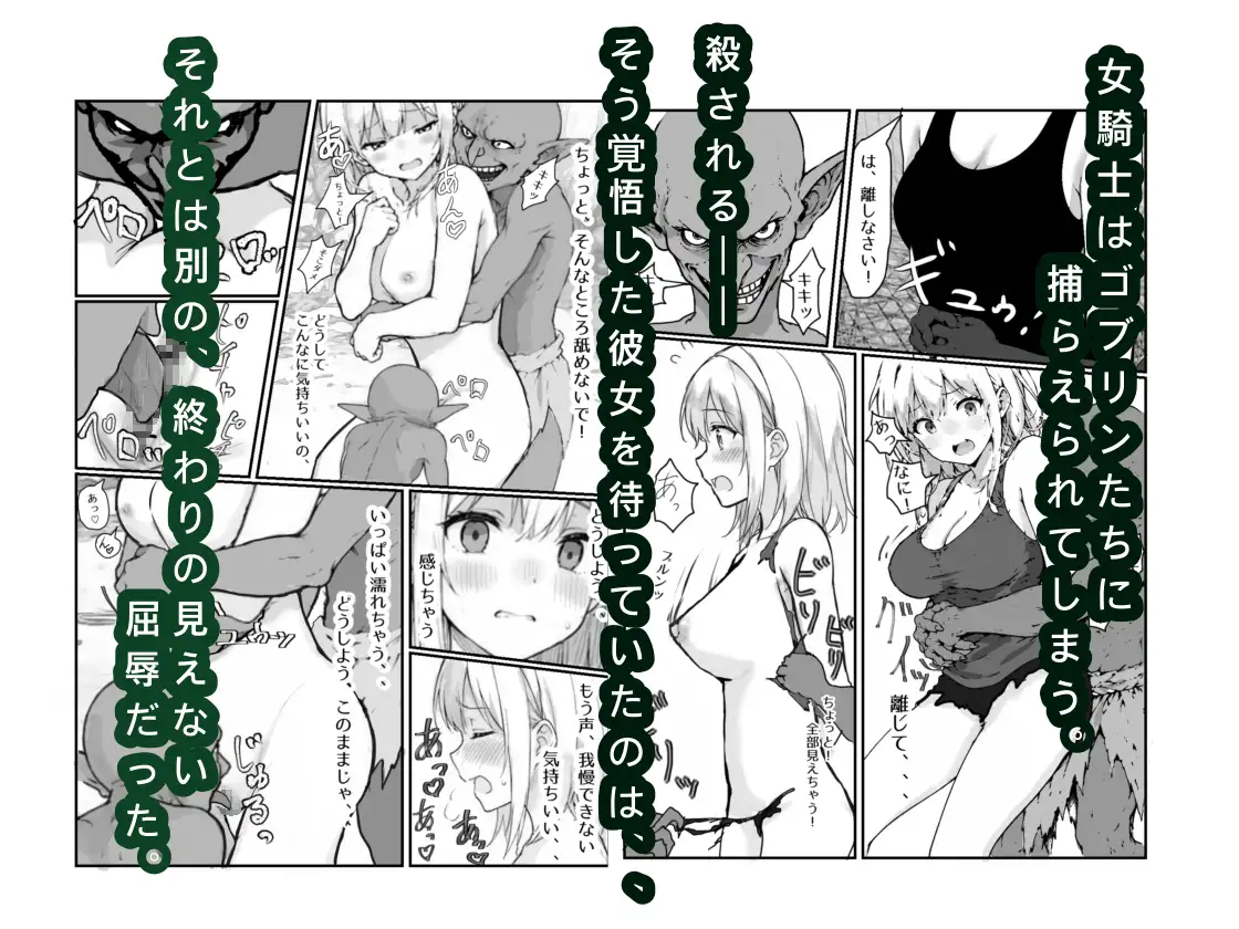 女騎士敗北録 〜ゴブリンの森〜 1 サンプル画像 3