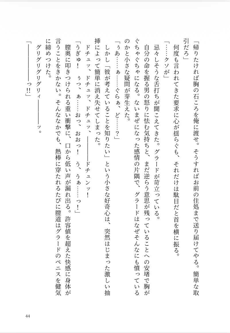 魔法少女リオは敵幹部の暇つぶし玩具 サンプル11