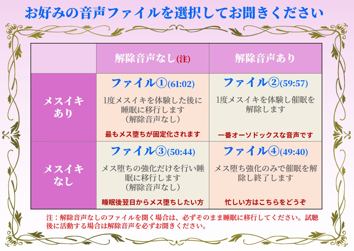 不可逆性・メス堕ち催淫プログラム 画像5