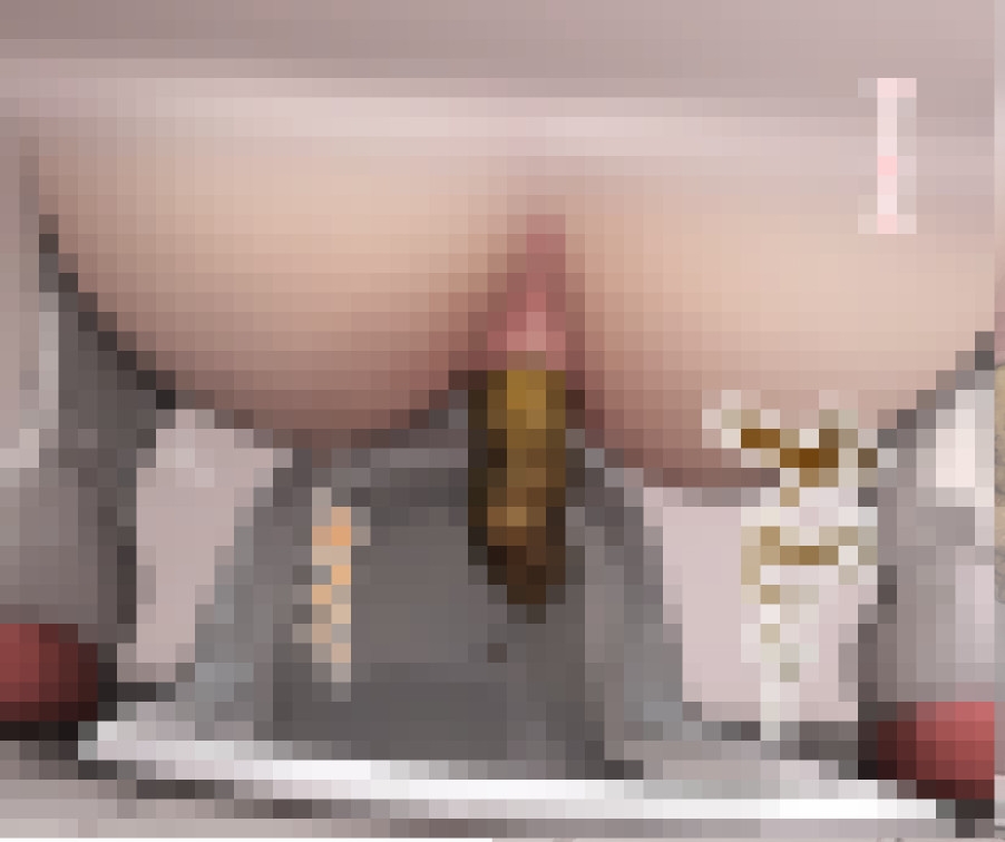 女子トイレウォッチング 画像4