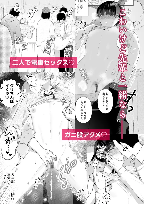 サンプル画像5