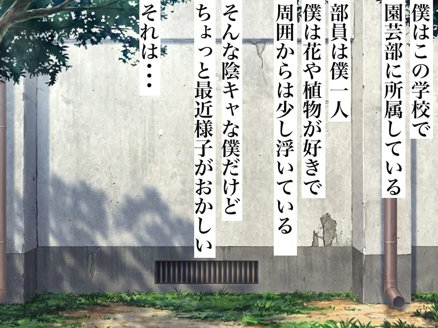 おっぱいが異次元に大きい後輩ギャル 画像1