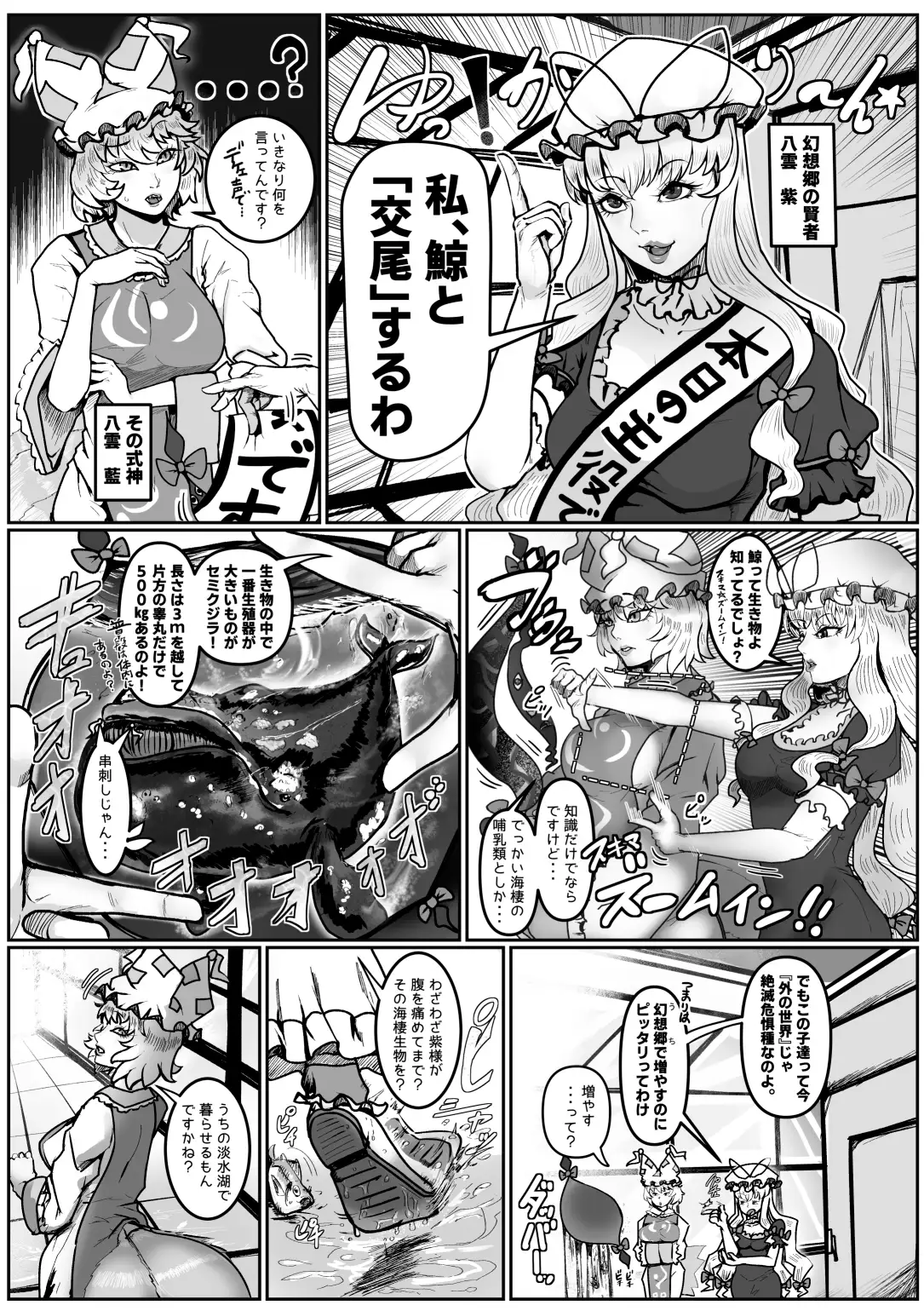 __TTLPROT0__ サンプル画像1