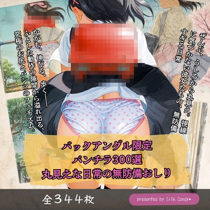 バックアングル限定パンチラ300選:うしろから丸見えな日常の無防備おしり