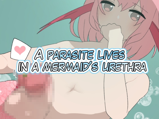 A parasite lives in a mermaid's urethra
