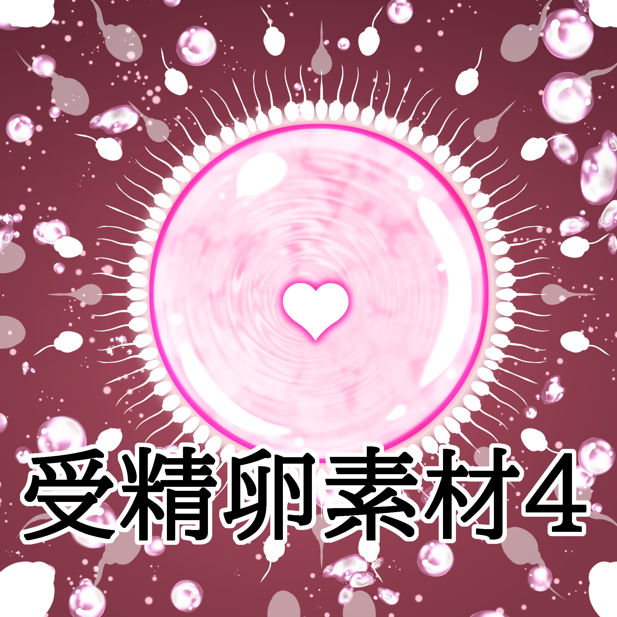 受精卵素材4