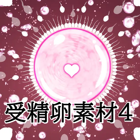 受精卵素材4 サンプル画像 2
