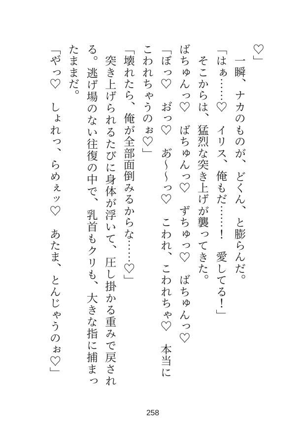 史上最強のヒーローが悪役の私を離してくれません〜逃げようとしたらぐちゃぐちゃにお仕置きされて花嫁にされちゃいました〜 [なぎさの妄想部屋] | DLsiteがるまに 11