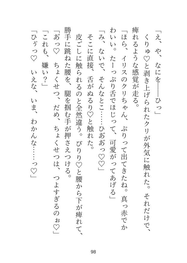 史上最強のヒーローが悪役の私を離してくれません〜逃げようとしたらぐちゃぐちゃにお仕置きされて花嫁にされちゃいました〜 [なぎさの妄想部屋] | DLsiteがるまに 3