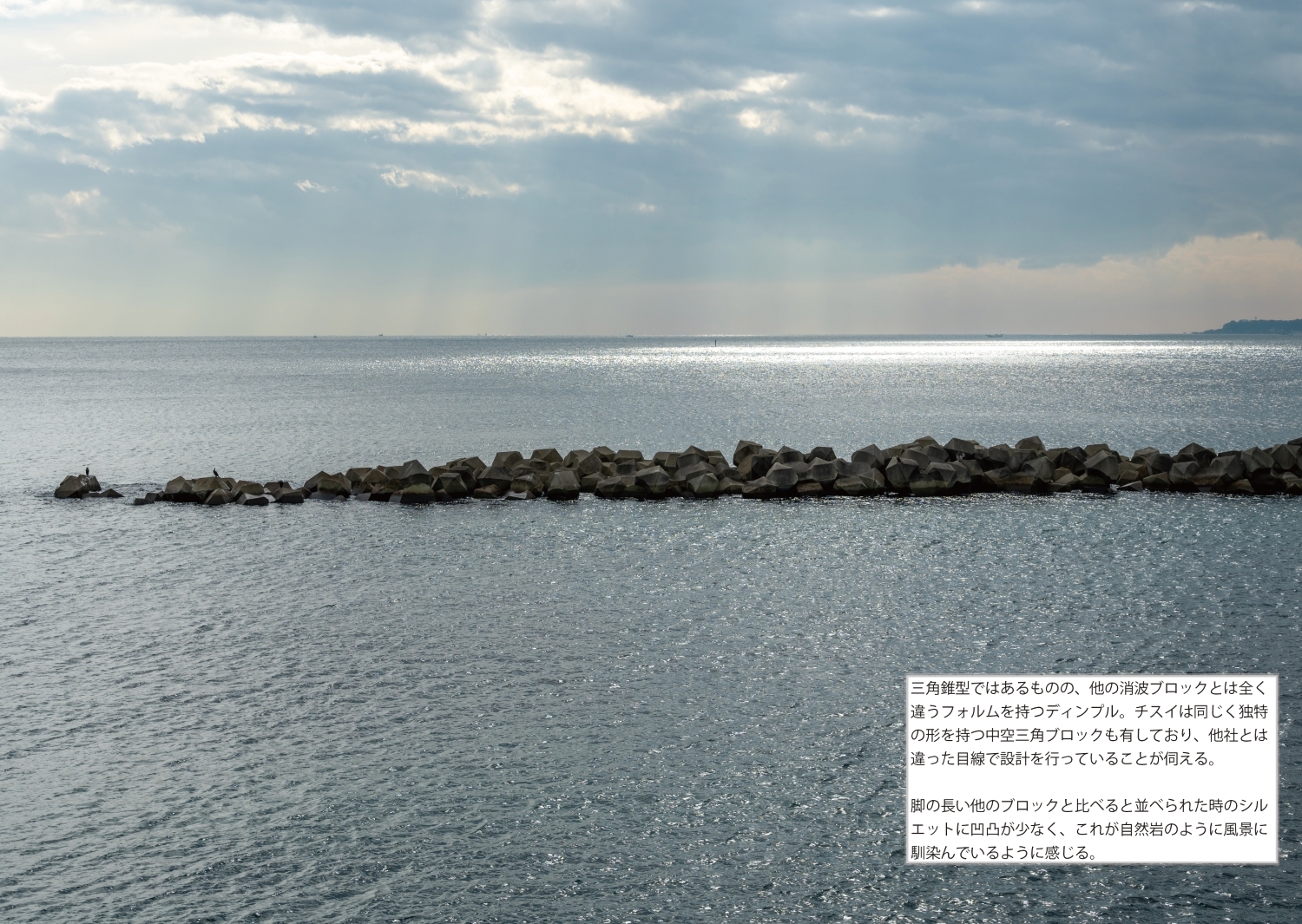 相模国消波記-野比海岸編-