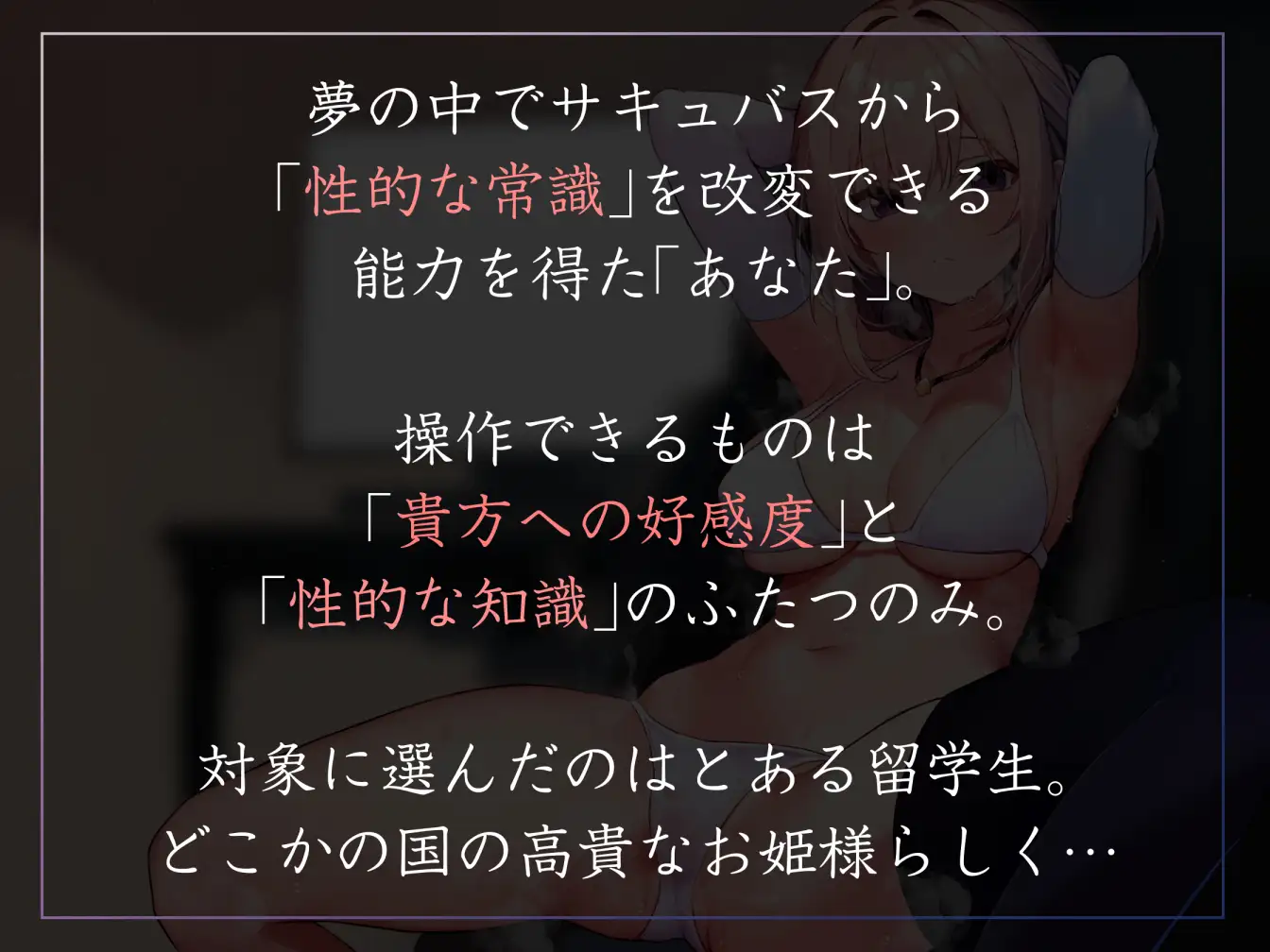 【常識改変特化】異国から留学中の人見知り気味クールお姫様JKの意識を改変し、性処理マナーを普通と思い込ませあまあまおまんこ異文化交流【凌◯なし・汗蒸れ・腋嗅ぎ】_0