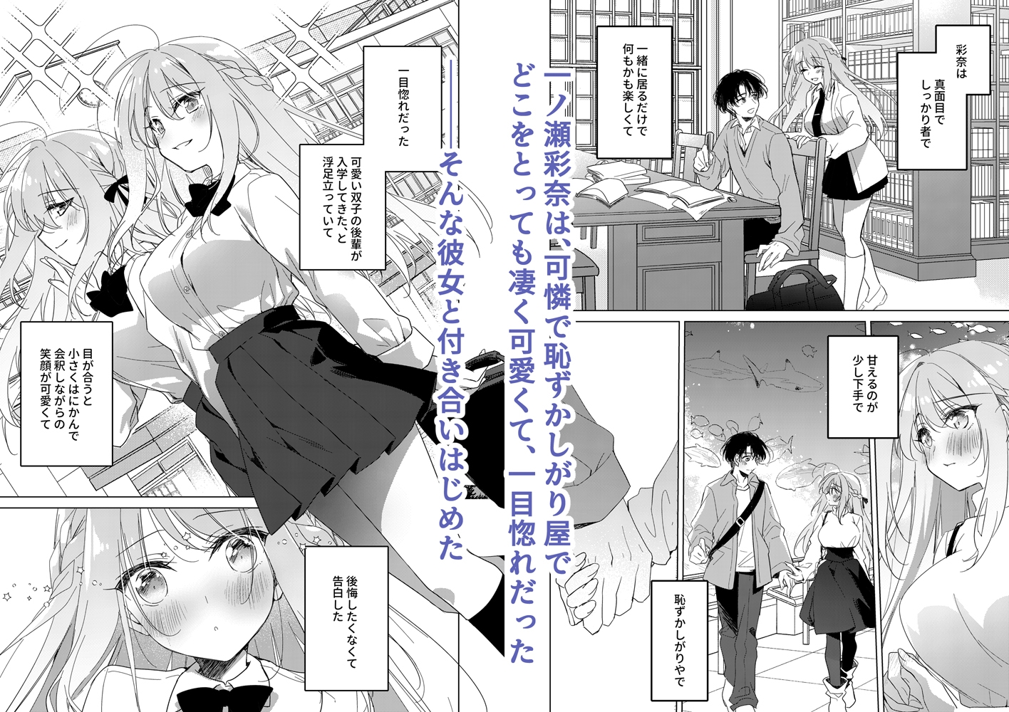 シスターコンプリシティ 画像1