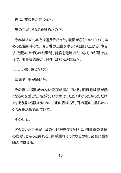 サンプル4