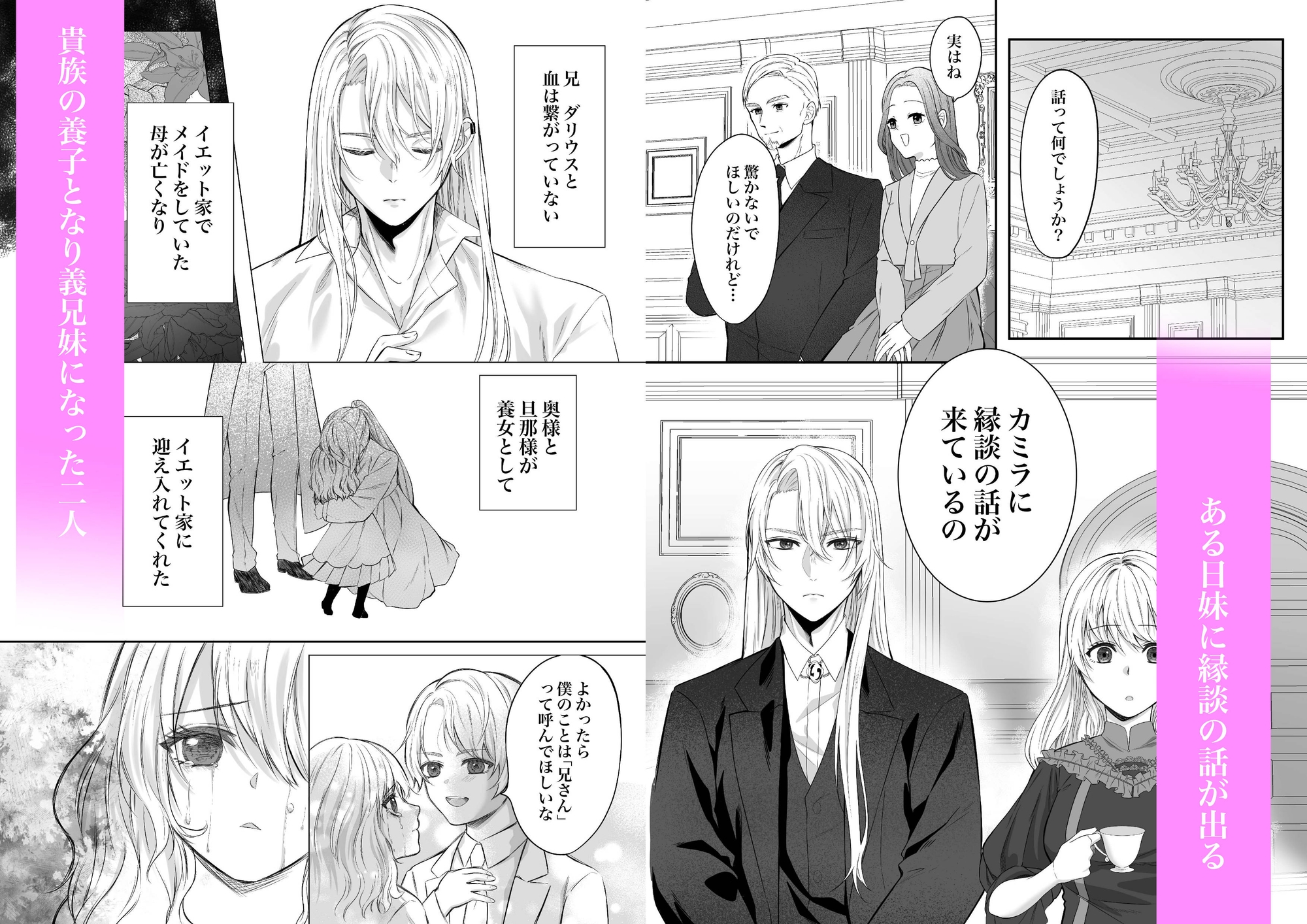 ダリウスは妹に執着する 画像2