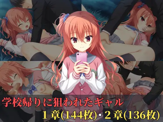 学校帰りに狙われたギャル ジャケット画像