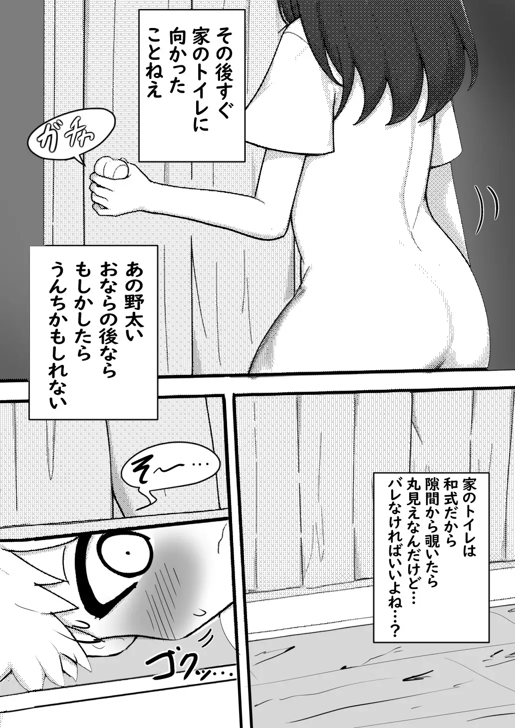 ショタが年上の従姉のお姉ちゃんのトイレを覗くお話 サンプル画像 2