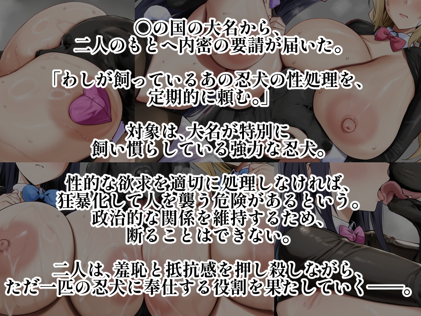 サンプル画像 1枚目