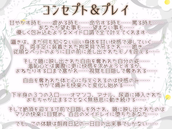 サンプル画像 3枚目