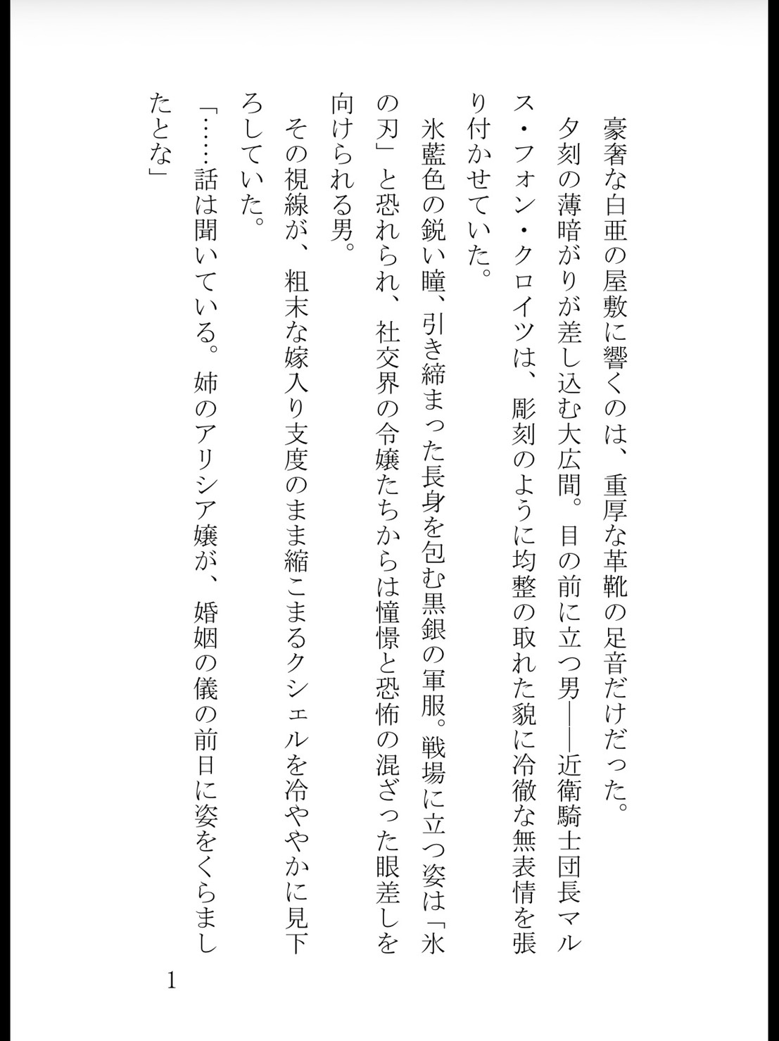 身代わり花嫁なのに初夜から中出し絶頂! 氷の騎士団長は10年間溜め込んだ精液で毎晩私を孕ませたい 画像1