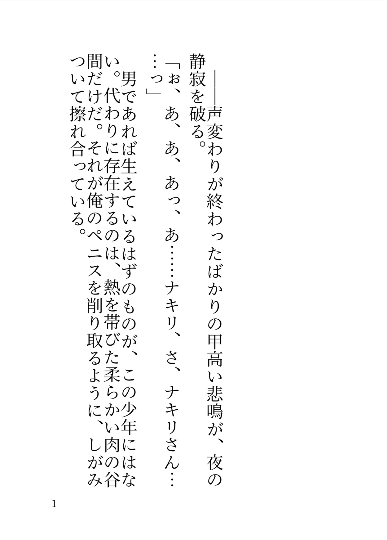 逃亡カントボーイに執着されている話 [星月夜明け] | DLsiteがるまに 2