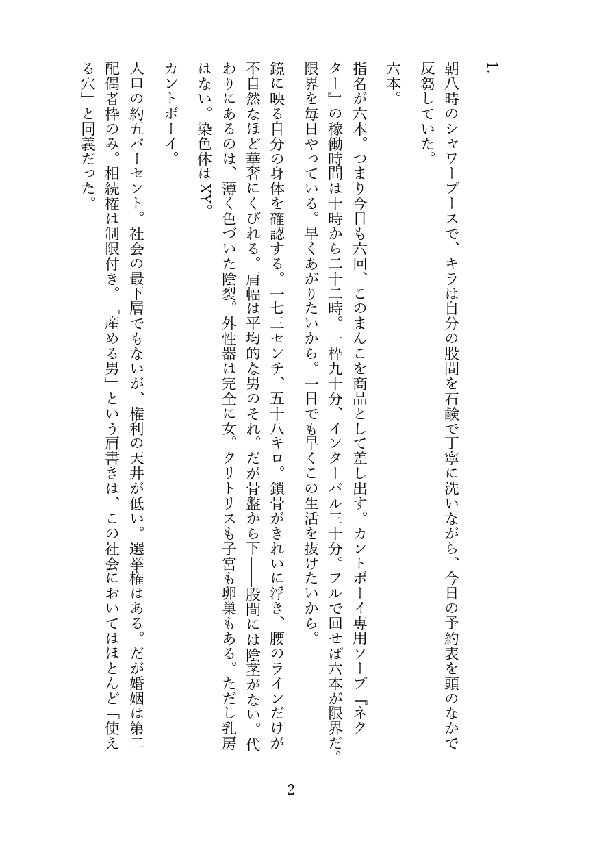 フィスト調教でメス堕ちするカントボーイ♡旦那様専用まんこの肉奴○新婚生活 [境界熱] | DLsiteがるまに 2