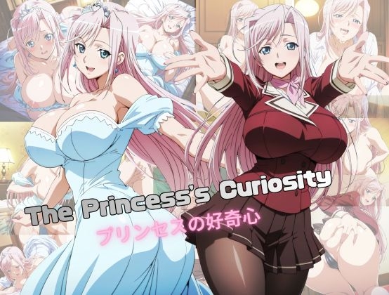 The Princess's Curiosity～プリンセスの好奇心～