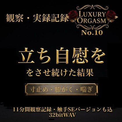 No.10【セリフなし】膝がくがく限界寸止め『立ちオナニー』〜11分間の過呼吸生殺し体験〜 — LUXURY ORGASM