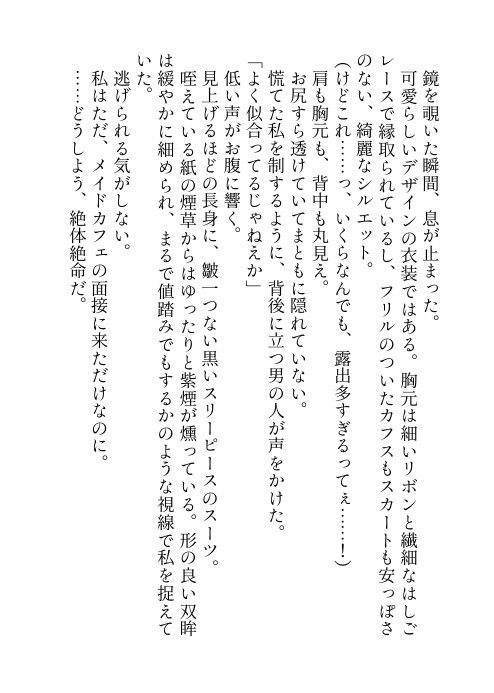 憧れのメイドカフェの面接に行ったはずがダウナーなヤクザのお兄さんにドスケベ衣装で研修させられた挙句「もう離せねえぞ」と娶られちゃった話 [ろこもこうさぎ] | DLsiteがるまに 4