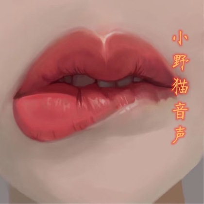 奴役之媚黑无惨  CV嘉怡&爱鱼酱 CV南伊&怡梦