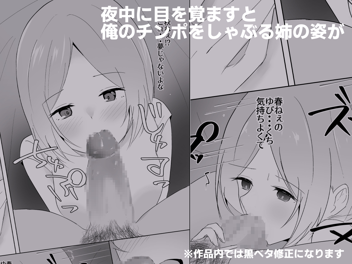 姉がよなよなフェラしてくる 画像3