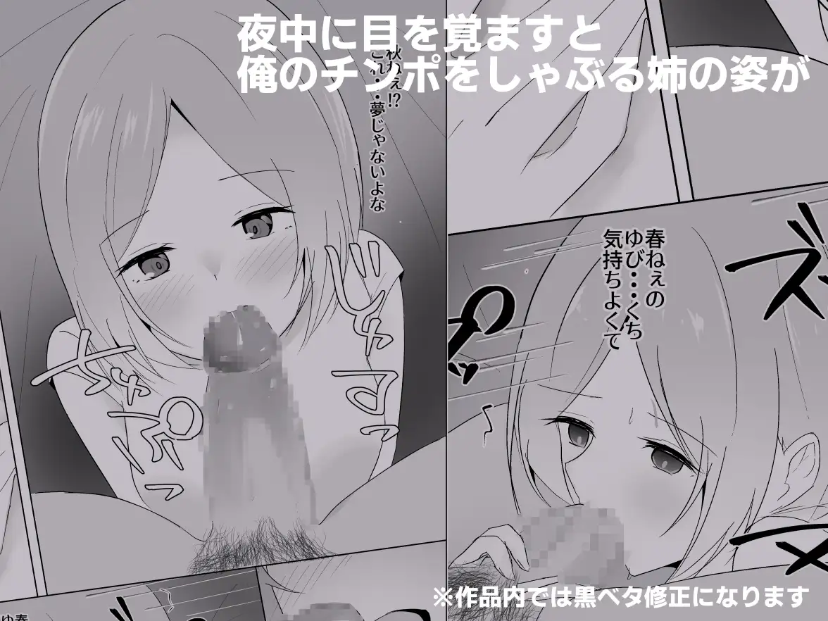 姉がよなよなフェラしてくる サンプル画像 3