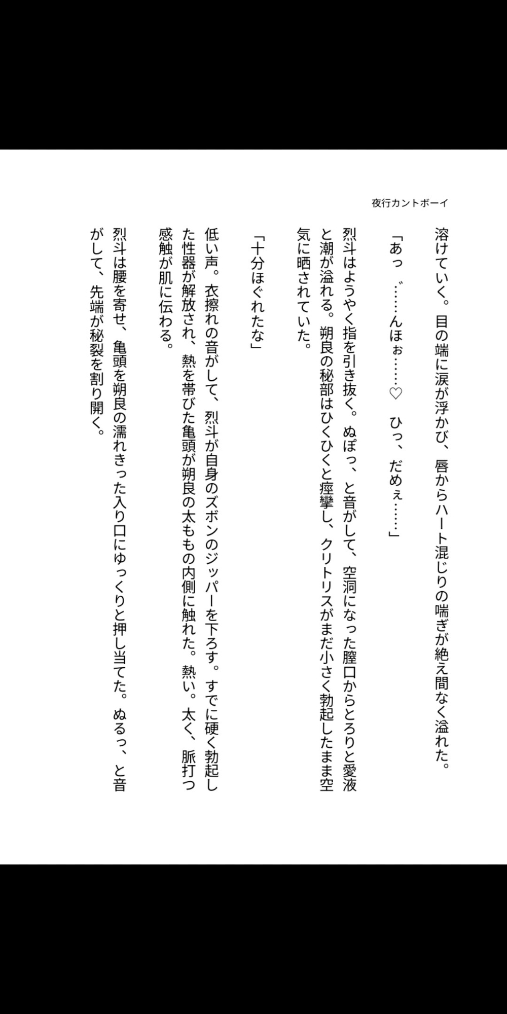 夜行バスのカーテンの向こうで暴かれる秘部 ～外見も心も男なのに女性器しか持たないカントボーイが、クリ責めと潮吹き中出しの連続で完全にメス堕ち妊娠する淫らな一夜～ [凜音] | DLsiteがるまに 1