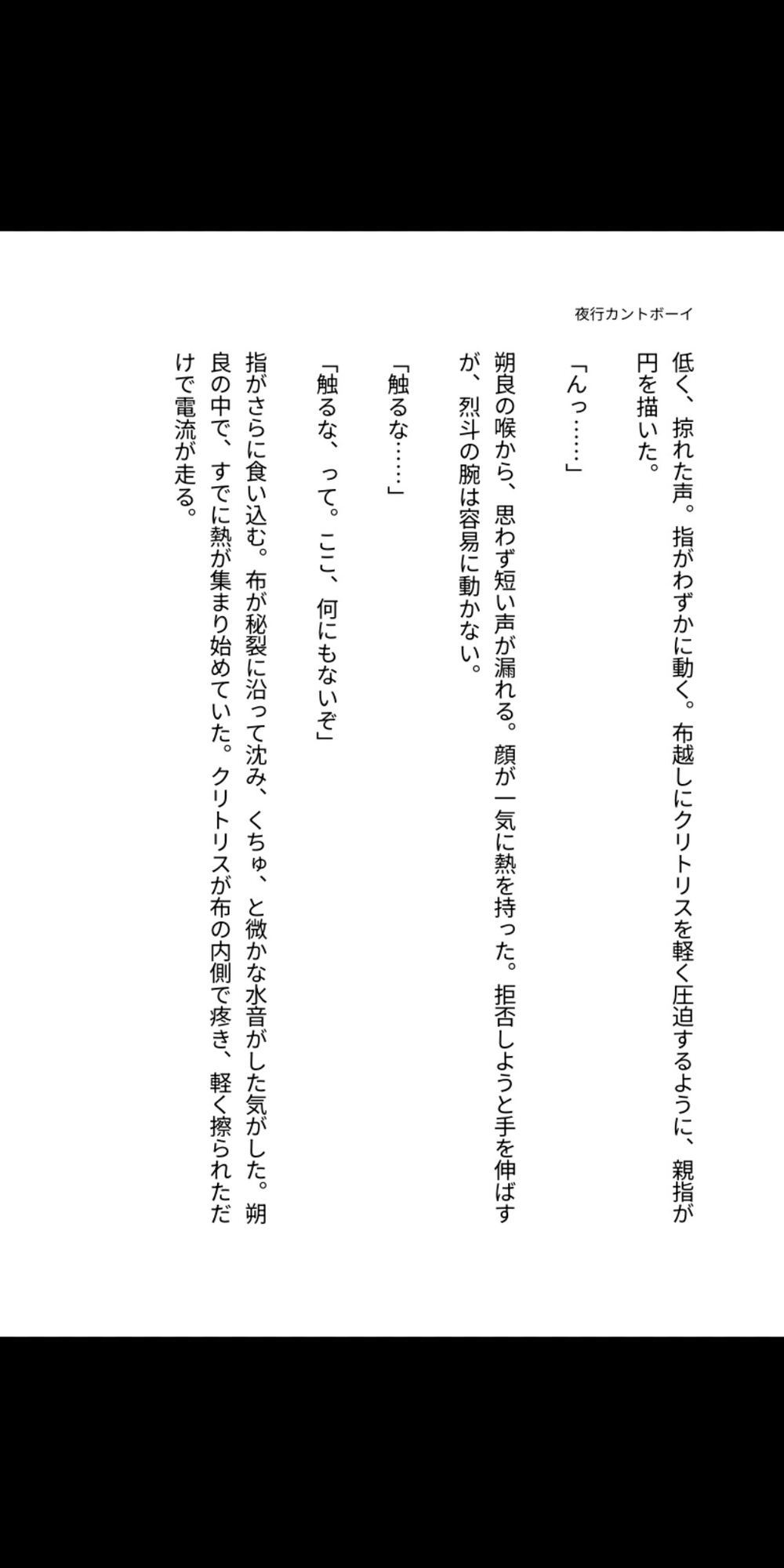 夜行バスのカーテンの向こうで暴かれる秘部 ～外見も心も男なのに女性器しか持たないカントボーイが、クリ責めと潮吹き中出しの連続で完全にメス堕ち妊娠する淫らな一夜～ [凜音] | DLsiteがるまに 3