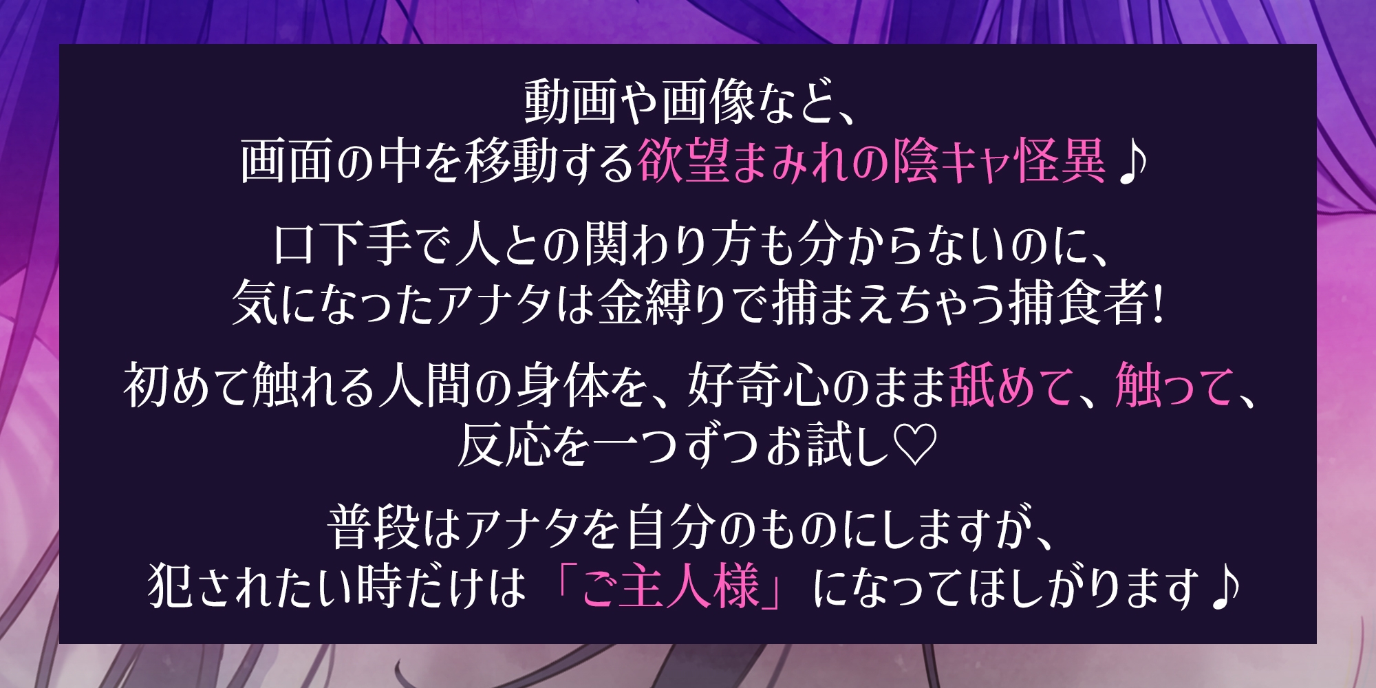 サンプル画像 2枚目