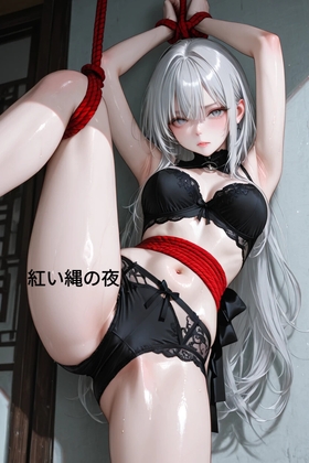 紅い縄の夜
