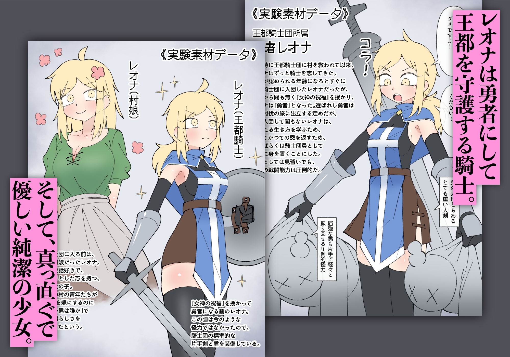 Demon King Army Lab Report: Hero Leona Sphere Compression