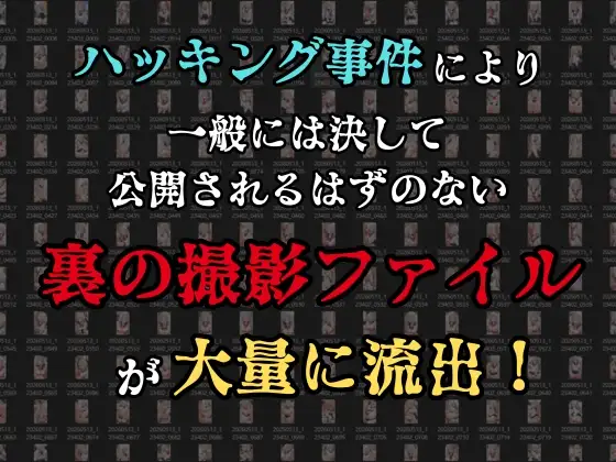 【裏流出ファイル】コスプレ事務所社長による所属モデルへの特別指導(銀髪セーラー服編) サンプル画像 3